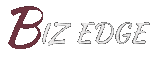 Biz Edge Consultancy Logo